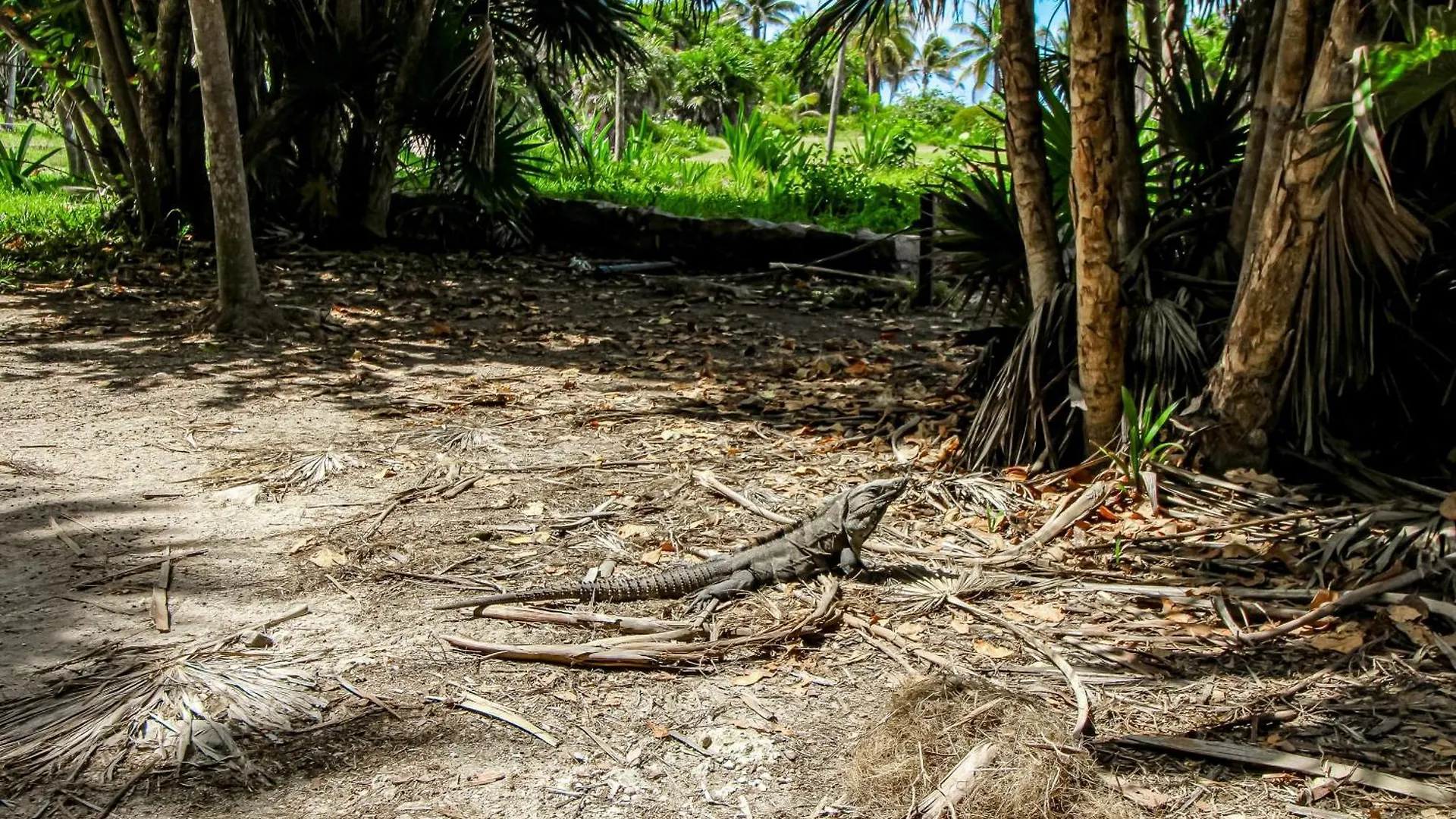 Hotel Giada Towers A204 à Tulum